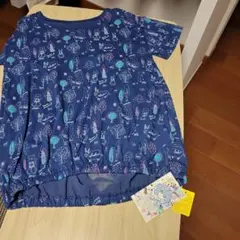 Item thumbnail for item 189b028e-b512-45d6-9022-6aaab637e372