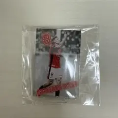 浦和レッズ マテウスサヴィオ アクリルフィギュア 埼スタ ガチャガチャ