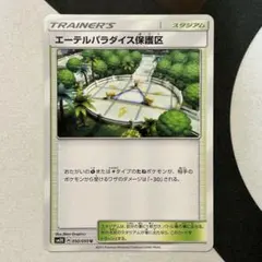 2026年最新】エーテルパラダイス保護区の人気アイテム - メルカリ