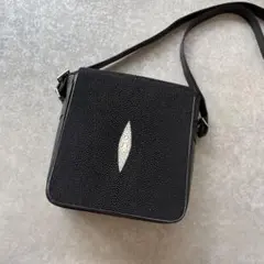 希少☆ stingray エイ革　ショルダーバッグ2ウェイ Yahoo!オークション -「stingray」(ファッション) の落札相場