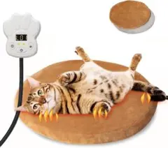 Item thumbnail for item b254c1d2-20ff-4606-b85d-7985486c735c