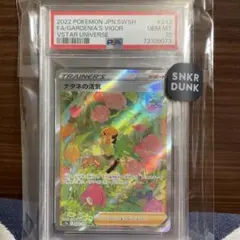 美品　ナタネの活気　SAR psa10
