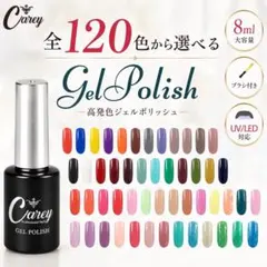 ジェルネイル カラージェル ジェルポリッシュ 全120色 高発色 Careyのサムネイル