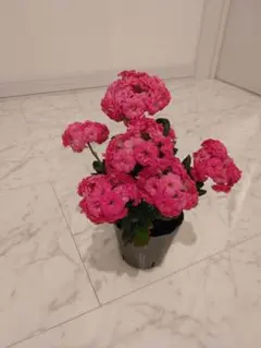 プロフ確認宜しく‼//あっくんママ様 リクエスト 2点 まとめ商品