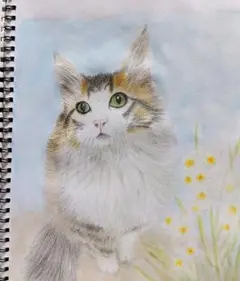 猫 アート・写真