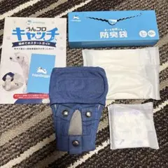 Item thumbnail for item 227003fc-3261-4a24-a51f-41317d4887b2