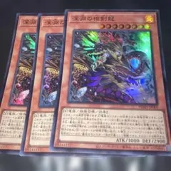 1772 深淵の相剣龍 3枚セット PHHY-JP005 字レア