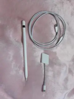 Apple Pencil ホワイト 充電ケーブル付き 第1世代 第一世代