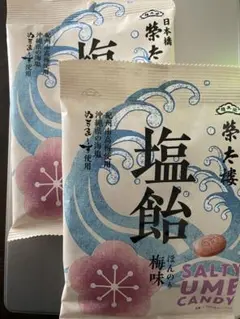 榮太樓總本舗 塩飴ほんのり梅味 沖縄県産ぬちまーす　紀州南高梅　2個　榮太郎のサムネイル