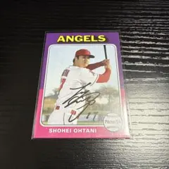 レア】2018 大谷翔平 ルーキーシーズンチケット - メルカリ