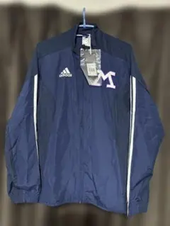 Item thumbnail for item 3a2b0d86-eaca-4266-8aa9-02710abeaabd