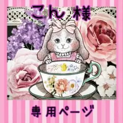 こん様✳️専用ページ