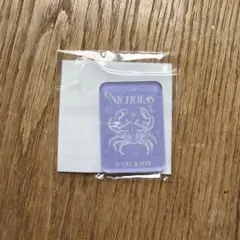&TEAM andTEAM NICHOLAS ニコラス　アクリルマグネット
