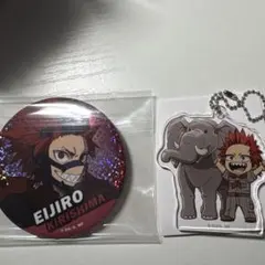 ヒロアカ　東武動物公園　切島鋭児郎　アクリルキーホルダー　缶バッジ