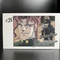 ジョジョの奇妙な冒険 キャラポトレ #20【花京院典明＆空条承太郎】