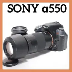 2026年最新】α65 レンズの人気アイテム - メルカリ