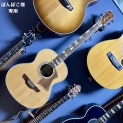 【Bluetoothトランスプリアンプ】James J-300A 調整済エレアコのサムネイル