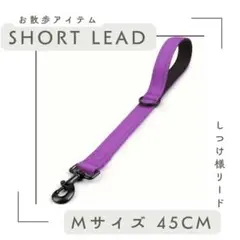 Item thumbnail for item e3543bfe-221e-4bcd-bfa4-fdb5c073ed3e