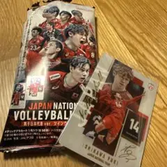 石川祐希 バレーボール日本代表 メタリックプラカード
