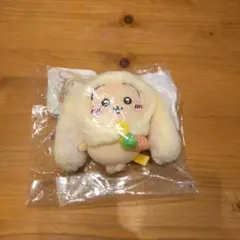 IVE ユジン minive フラットクッション カンアンジ - メルカリ