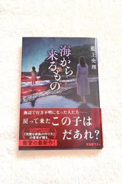 海から来るもの　藍上央理　光文社文庫