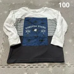 恐竜