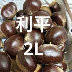 生栗 栗 利平栗 Lサイズ 1,2キロ - メルカリ