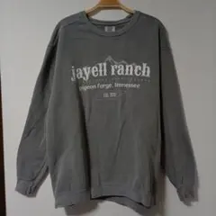 Comfort Colors スウェット L ピグメント グレー 古着