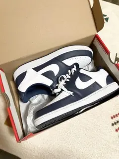 Nike Court Vision Lo