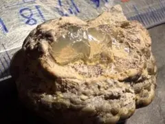 宝坂オパール　ゼリーオパール　原石　国産鉱物　ノジュール