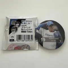 玉井大翔 缶バッジ 北海道日本ハムファイターズのサムネイル
