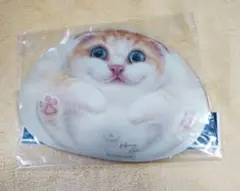 猫〈マウスパッド〉未開封+50枚猫柄メッセージカードセット