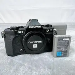 C91 OLYMPUS OM-D E-M5II オリンパス ミラーレス一眼のサムネイル