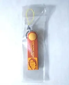 ヨン様 ペ٠ヨンジュン キーホルダー ストラップ
