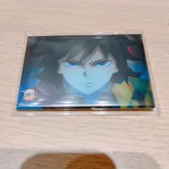 鬼滅の刃 無限城編 全方位コレクション 缶バッジ 冨岡義勇