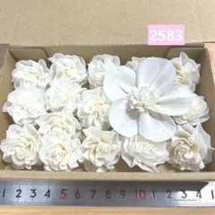 ソラフラワー　2583