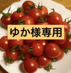 アルル　ほれまる　ミニトマト　種　種子　たね　薄皮　フルーツトマト　プチトマト
