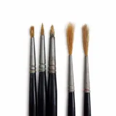 ラファエル 油彩筆 5本セット コリンスキー マングース 8802 867 油絵