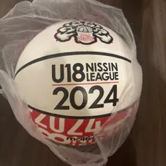 日清バスケットボールのサムネイル