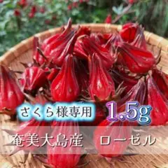 さくら様専用⭐︎フレッシュローゼル1.5キロ！奄美大島産