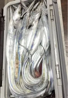 Item thumbnail for item 90272c17-f0ab-4632-a9a3-f5eefa682c9b