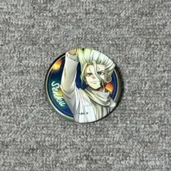 Dr.STONE ドクターストーン 千空 缶バッジ 温泉 - メルカリ