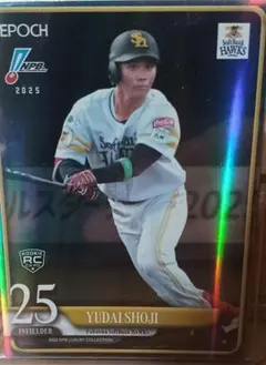 Item thumbnail for item 611c8213-ebdb-4971-b168-e2c59b6e3930