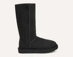 Item thumbnail for item a84629b7-2317-4d5e-b522-3d2c57f3a032