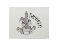 ディズニー とんすけ THUMPER ブランケット　SNIDEL HOMEのサムネイル