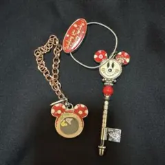 ディズニー クリスマス 2点セット