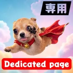 スープラRZ様 リクエスト 2点 まとめ商品