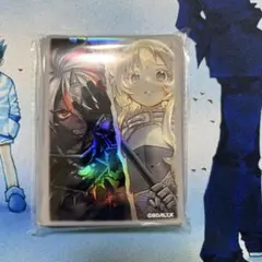 The Fallen ＆ The Virtuous スリーブ2個 遊戯王 the fallen & the virtuous スリーブ2つ｜Yahoo!フリマ（旧