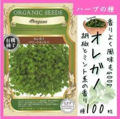 【ハーブの種】オレガノの種100粒　香り高く風味豊か！生でもドライでも使える✨