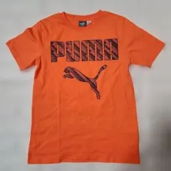 M(10-12)140-150㎝＊PUMA オレンジ 半袖Tシャツ